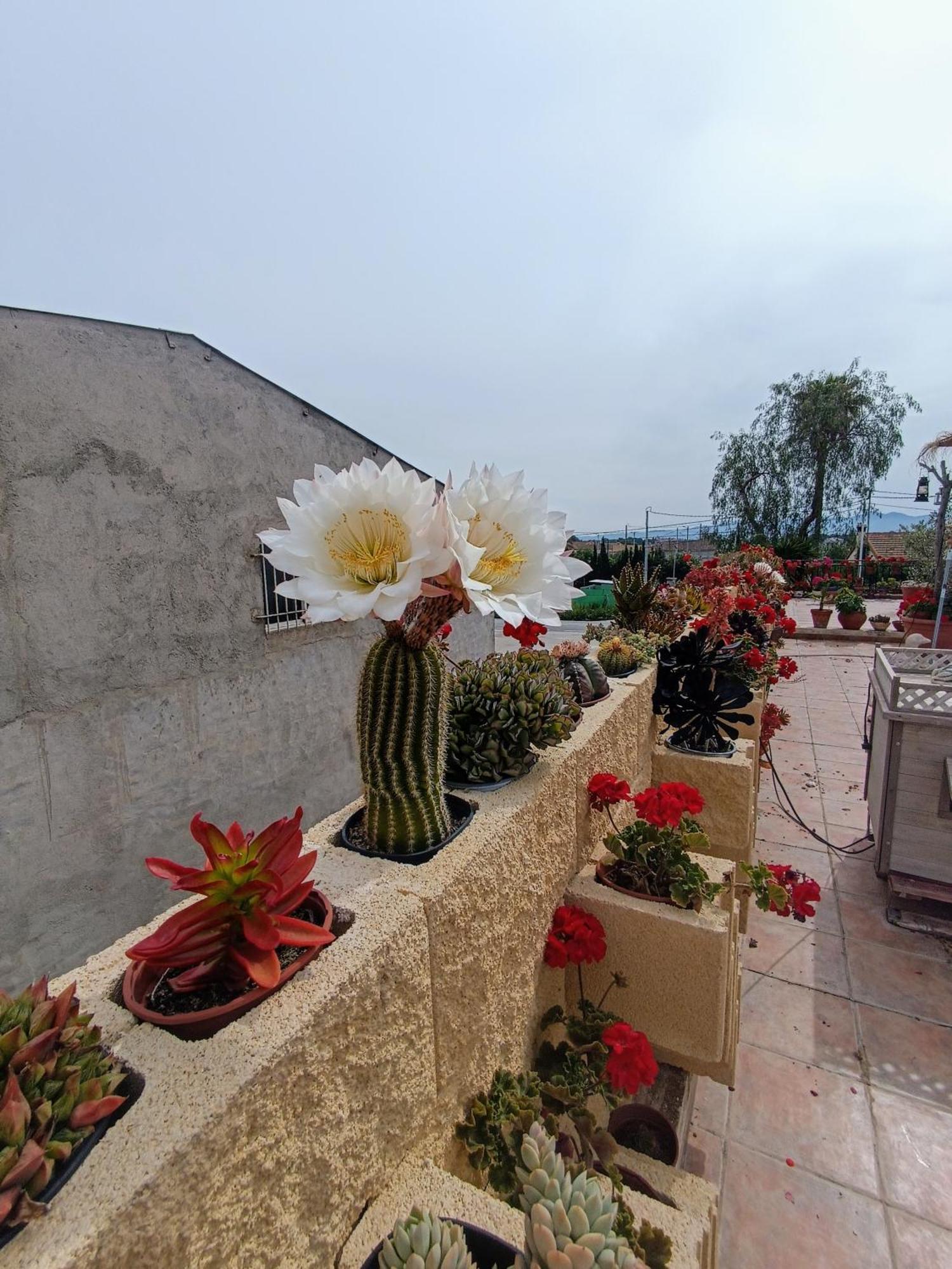 Casa Chalet Venta Ruizo Lorca  Zewnętrze zdjęcie