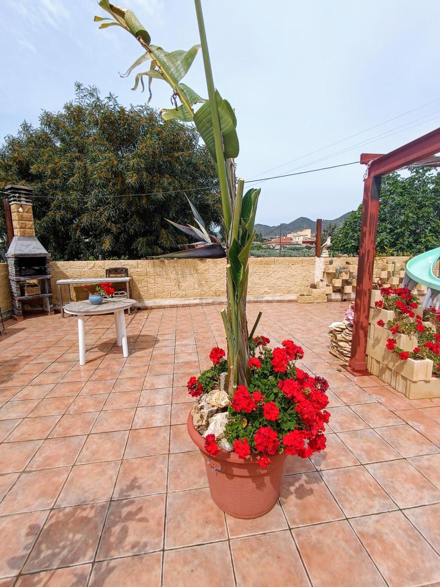 Casa Chalet Venta Ruizo Lorca  Zewnętrze zdjęcie