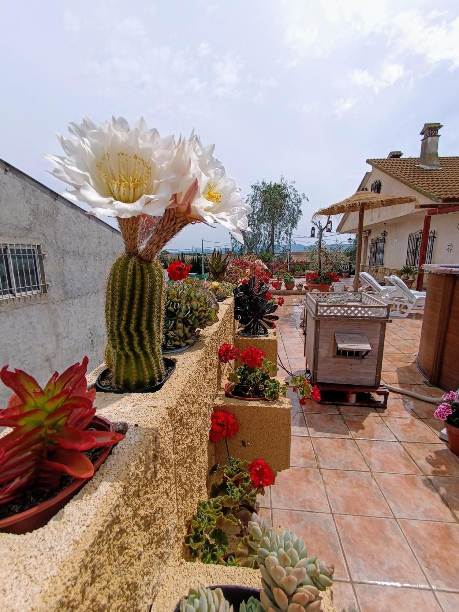 Casa Chalet Venta Ruizo Lorca  Zewnętrze zdjęcie